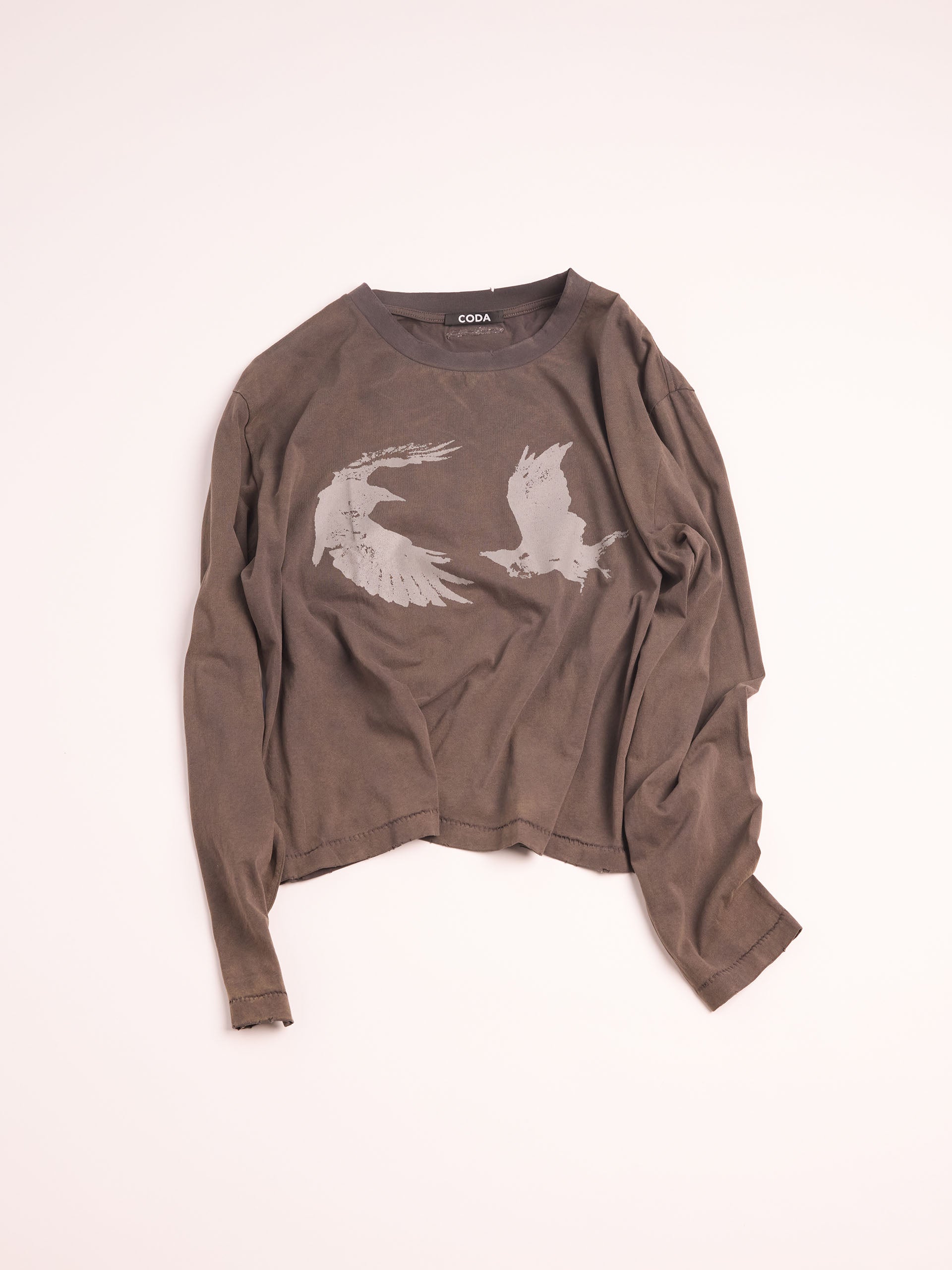 Washed Light Hawk LS Thrift Cut T-shirt