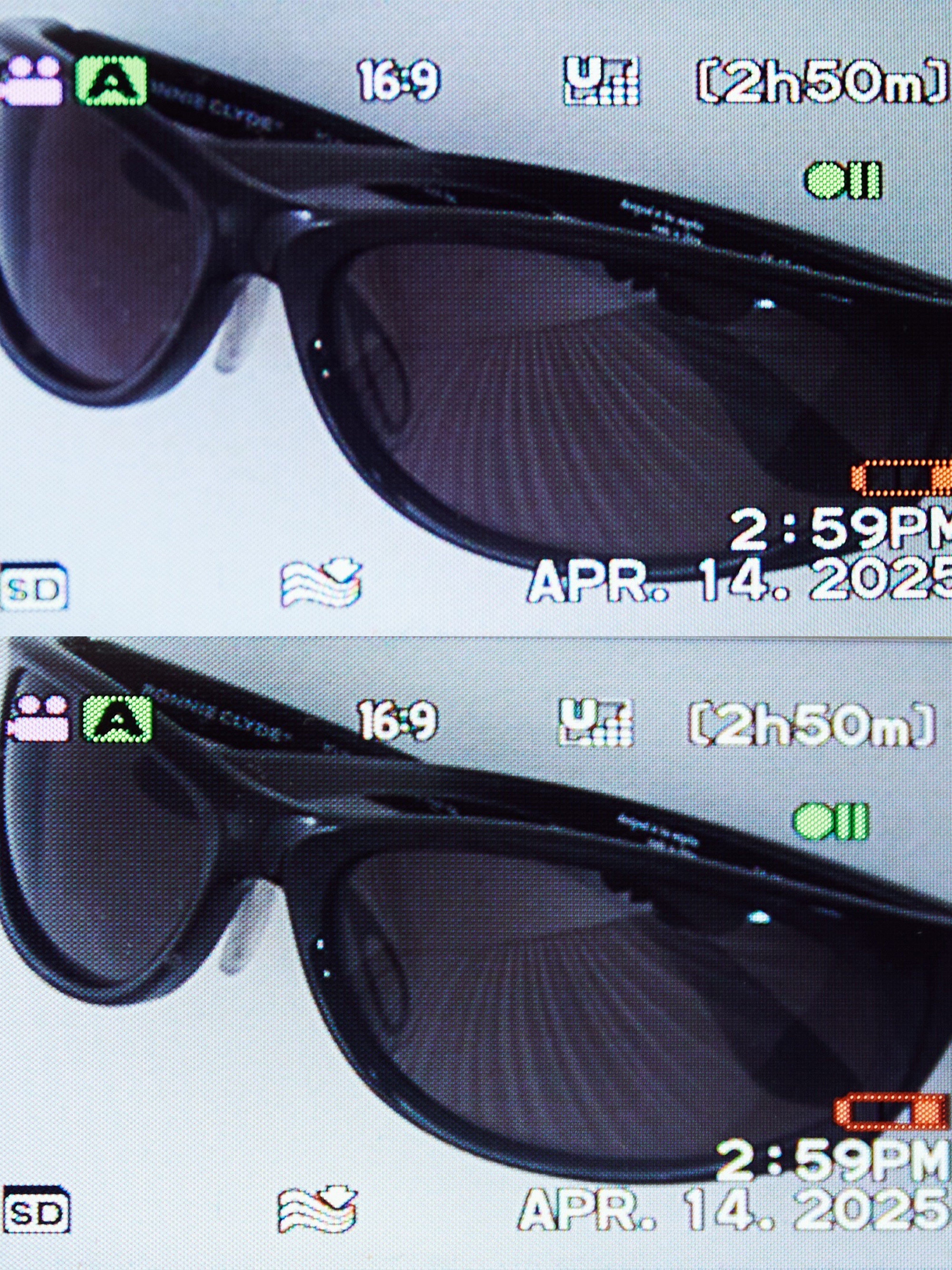 Darling Sunglasses – LANG