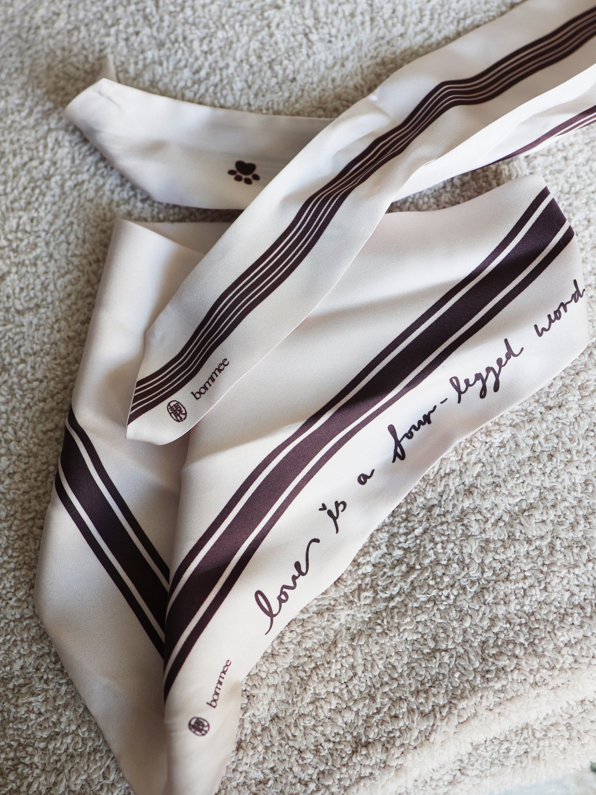 *EXCLUSIVE* LANG x Bommee Silk Pet Bandana