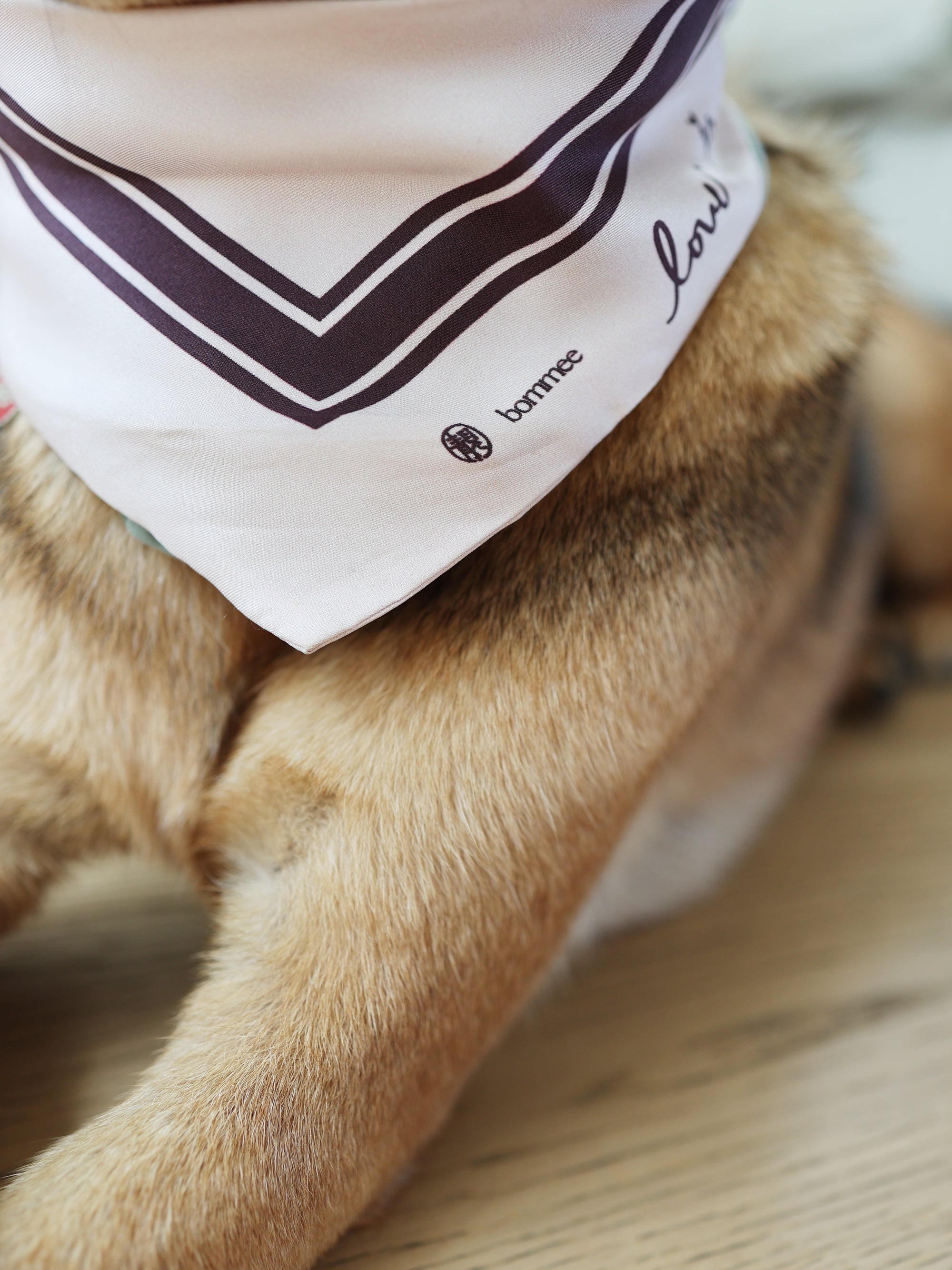 *EXCLUSIVE* LANG x Bommee Silk Pet Bandana